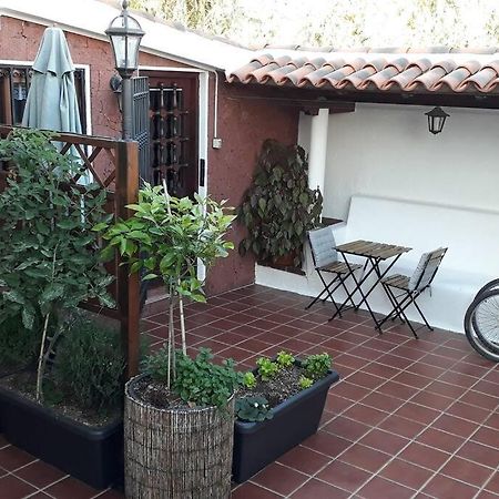 Apartamento Tranquilo En Una Casa Con Jardin Сан-Крістобаль-де-ла-Лагуна Екстер'єр фото