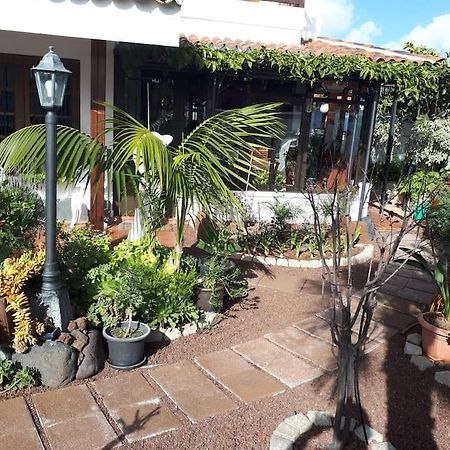 Apartamento Tranquilo En Una Casa Con Jardin Сан-Крістобаль-де-ла-Лагуна Екстер'єр фото