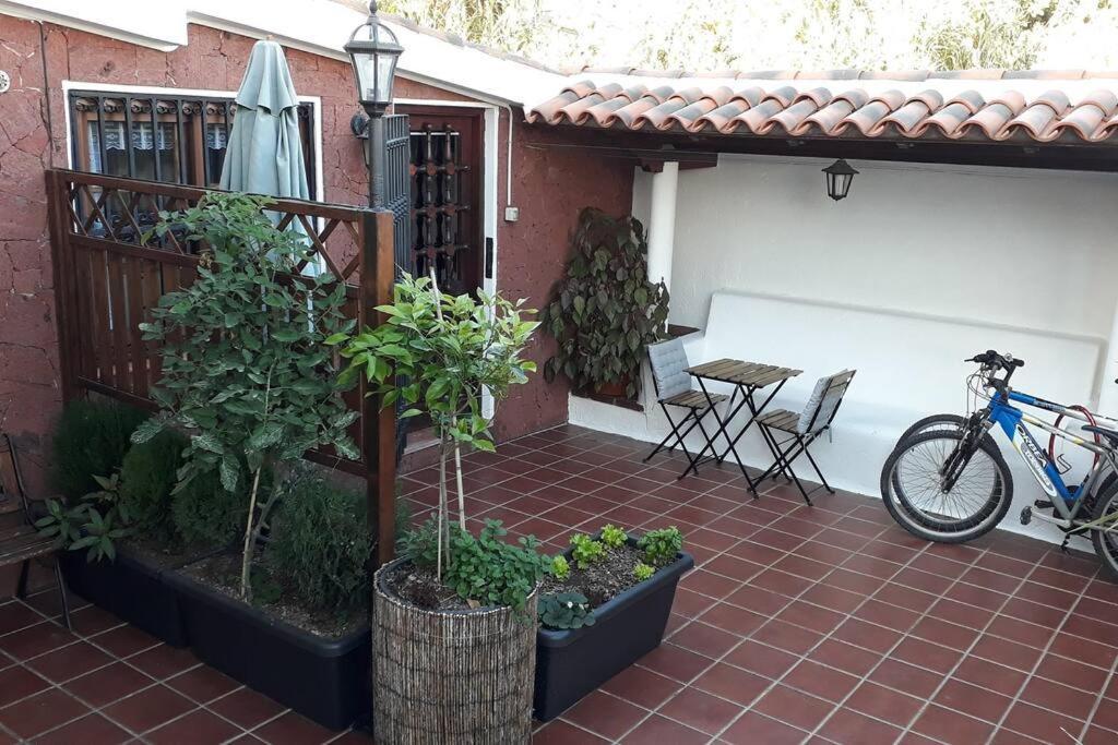 Apartamento Tranquilo En Una Casa Con Jardin Сан-Крістобаль-де-ла-Лагуна Екстер'єр фото