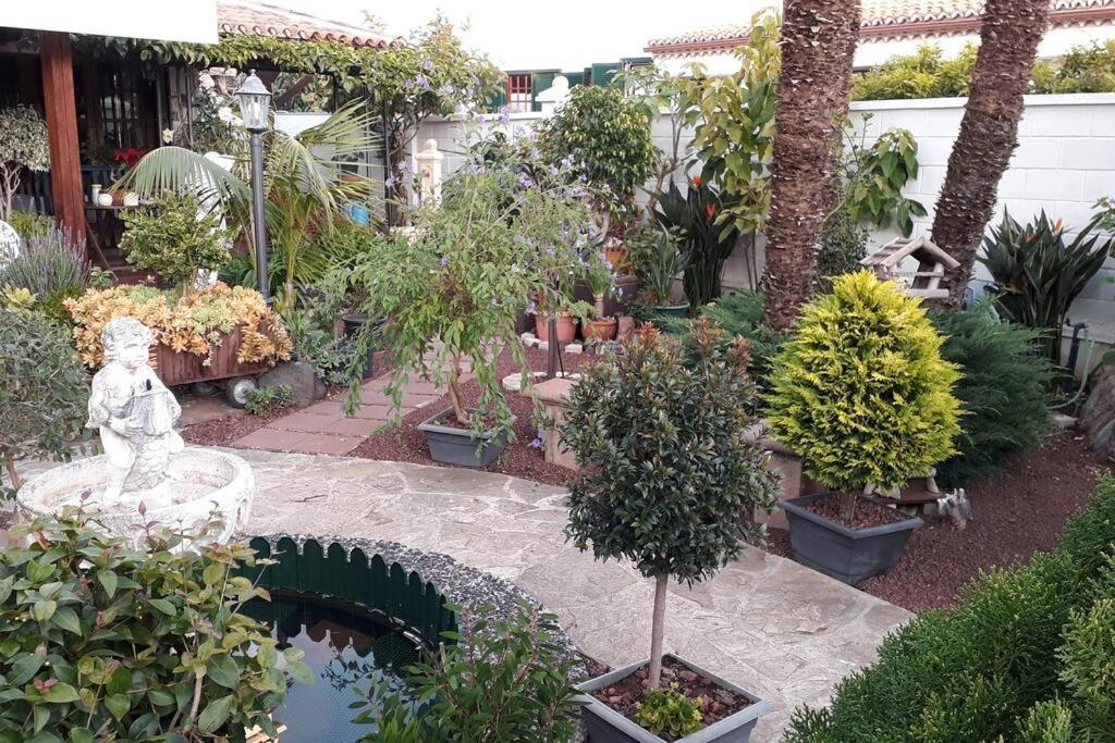 Apartamento Tranquilo En Una Casa Con Jardin Сан-Крістобаль-де-ла-Лагуна Екстер'єр фото