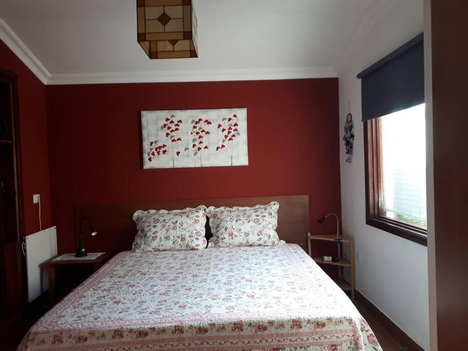 Apartamento Tranquilo En Una Casa Con Jardin Сан-Крістобаль-де-ла-Лагуна Екстер'єр фото