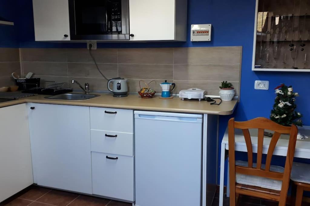 Apartamento Tranquilo En Una Casa Con Jardin Сан-Крістобаль-де-ла-Лагуна Екстер'єр фото